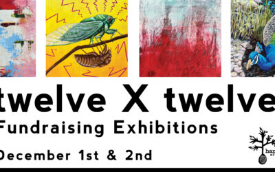 12×12 Fundraising Exhibitions