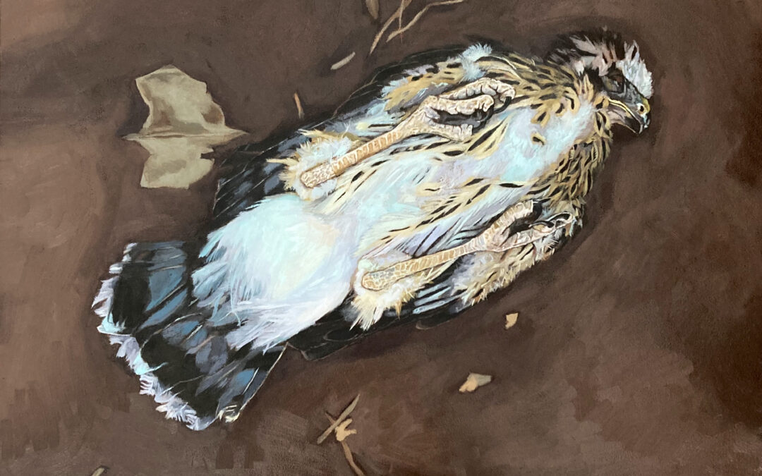 Fur, Feathers, Scales, Skin: Animal Painting in a Weekend w/ Natalie Voelker